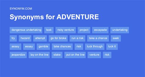 another word for adventurer